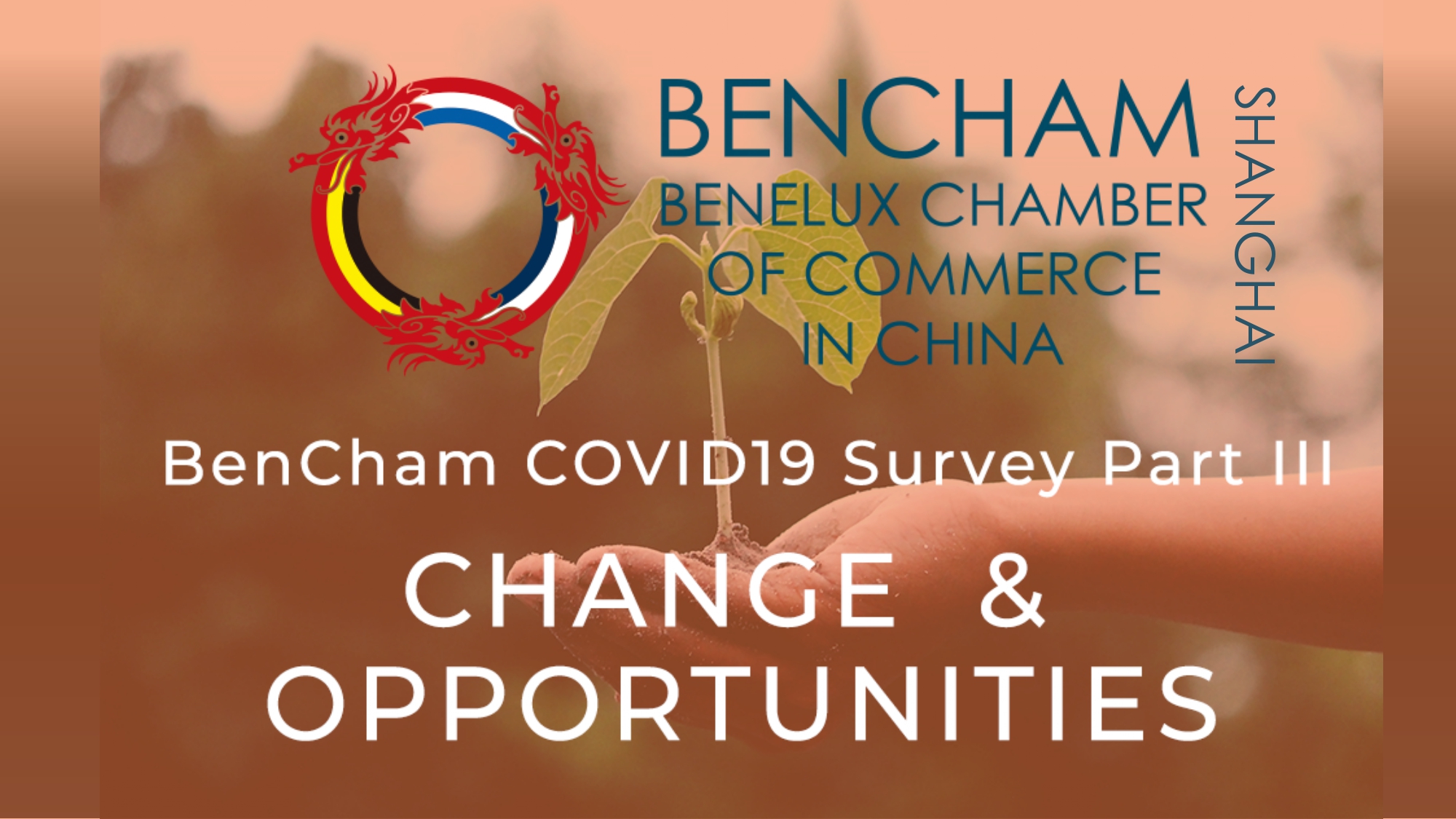 covid19 banner
